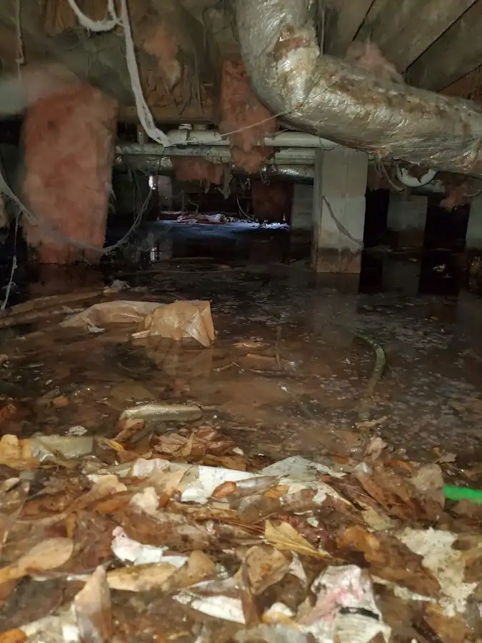 Crawl space flood assessment for Leak Detection & Repair in Coronado