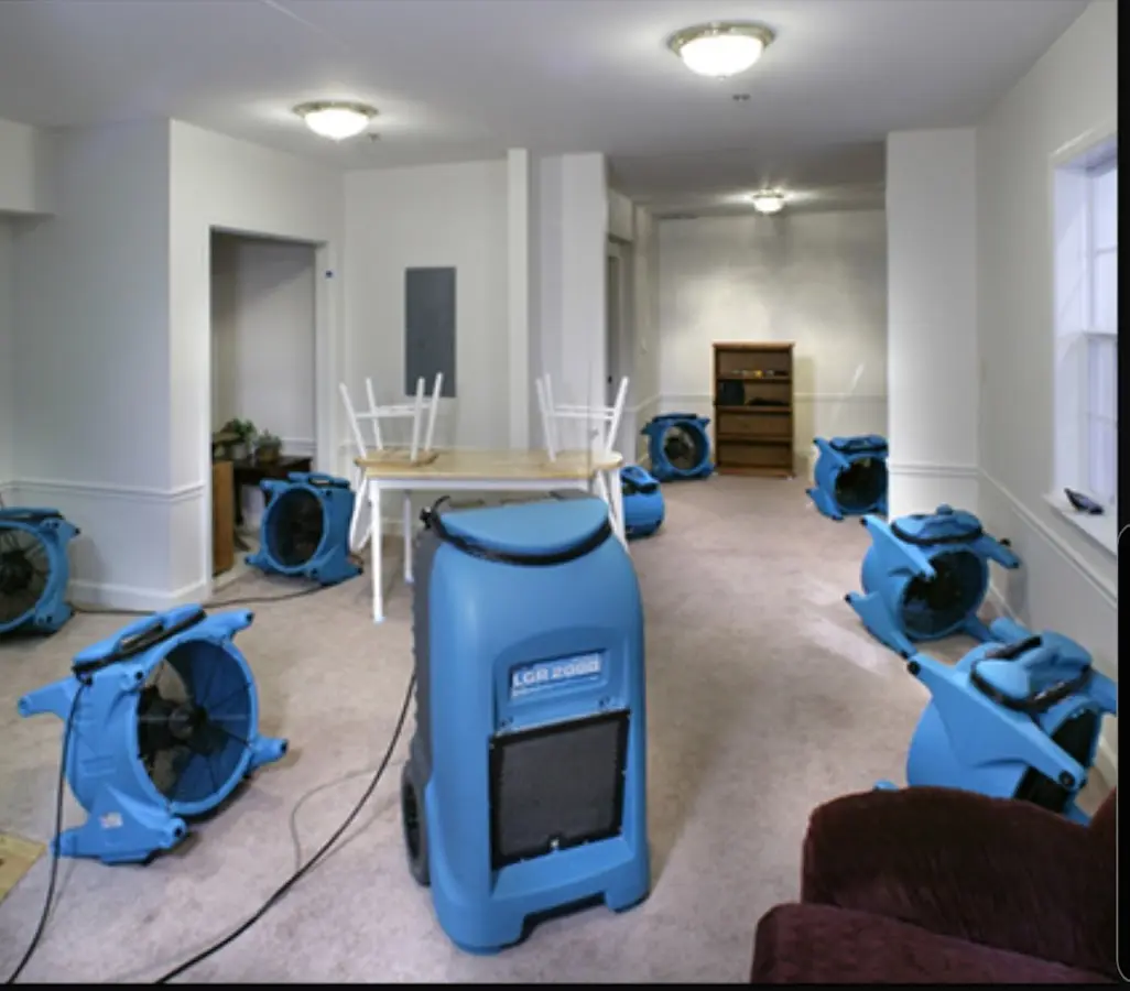 Air movers and dehumidifier setup for Water Extraction & Removal in Coronado